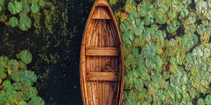 ChatGPT_AI提示词_一艘木船漂浮在睡莲池塘中_chatgpt会员多少钱一次缩略图