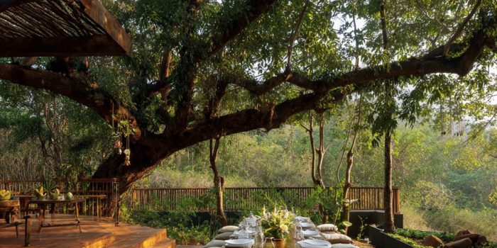 fca1bc89ea6bb03dc92d298243042d1b