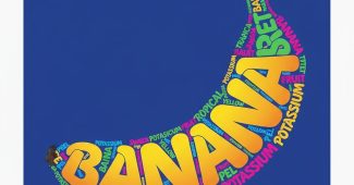 ChatGPT提示词_创作一个香蕉形状的排版插图，文字本身形成形状，充满大胆和俏皮的字体风格，letters 流畅适应物体的曲线和轮廓，生动而对比鲜明的色彩搭配，背景为单色，增强主体形状的吸引力，矢量风格，干净，高分辨率，海报格式，1:1 纵横比_chatgpt会员购买缩略图