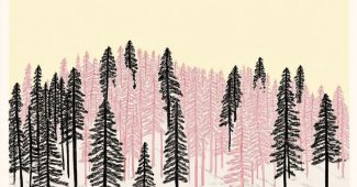 ChatGPT_AI提示词_一片冰冻的松树森林_国内如何买gpt会员缩略图