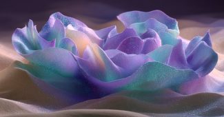 whispers fogbank eerie carousel 1