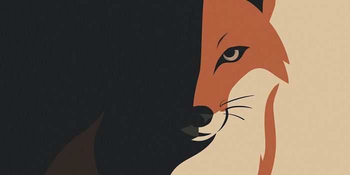 ChatGPT提示词_一幅极简风格的红狐狸插图，半张脸隐藏在阴影中_chatgpt在线网页版3.5缩略图