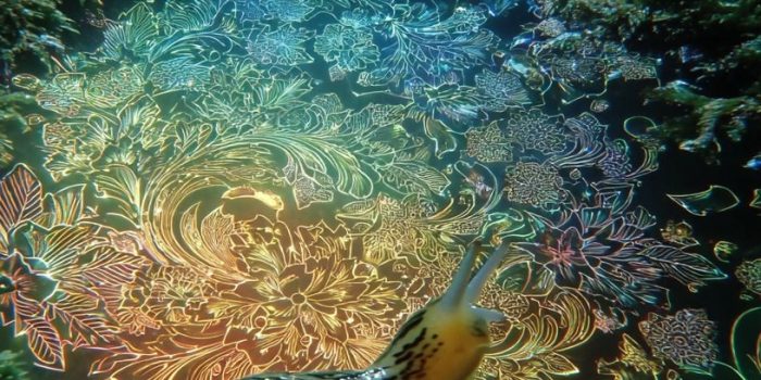 ChatGPT提示词_一只蜗牛在苔藓覆盖的森林地面上爬行，身上有发光的阴阳图案_chatgpt5.2费用缩略图