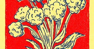 ChatGPT提示词_一包混合的卡斯特尔韦特拉诺橄榄和爆米花_chatgpt会员多少钱一年缩略图