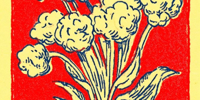 ChatGPT提示词_一包混合的卡斯特尔韦特拉诺橄榄和爆米花_chatgpt会员多少钱一年缩略图