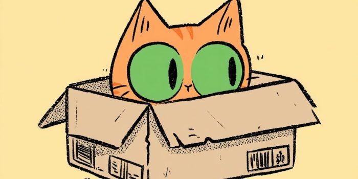 ChatGPT提示词_一只可爱的橘猫在纸箱里_chatgpt会员多少钱缩略图