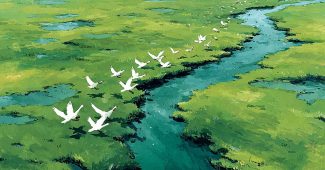 ChatGPT提示词_一幅鸟瞰图展示了白天鹅在草原上呈S型飞行的景象_chatgpt官网中文缩略图