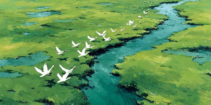 ChatGPT提示词_一幅鸟瞰图展示了白天鹅在草原上呈S型飞行的景象_chatgpt官网中文缩略图