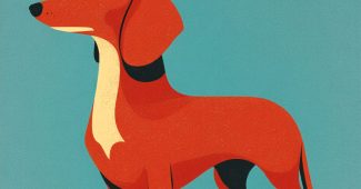 ChatGPT提示词_一幅以简洁背景为衬托的腊肠犬插图_chatgpt国内能用吗缩略图