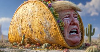 ChatGPT提示词_一个巨大的塔可饼，里面有一个看起来傻傻的特朗普在哭_chatgpt中文版官网缩略图