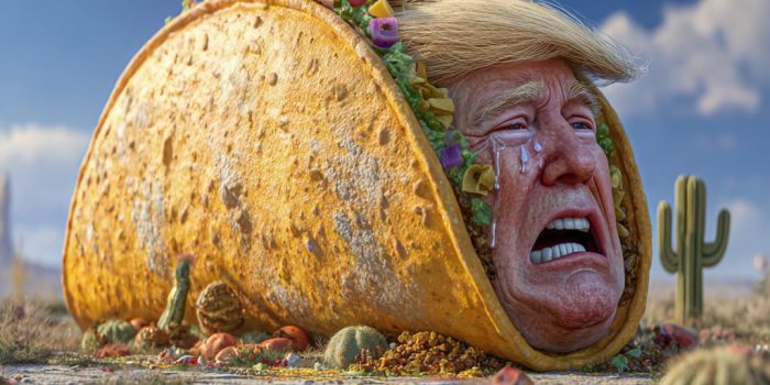 ChatGPT提示词_一个巨大的塔可饼，里面有一个看起来傻傻的特朗普在哭_chatgpt中文版官网缩略图