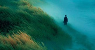 ChatGPT提示词_低饱和绿调的宁静景象，画面中出现一个小人物_chatgpt网页在线版缩略图