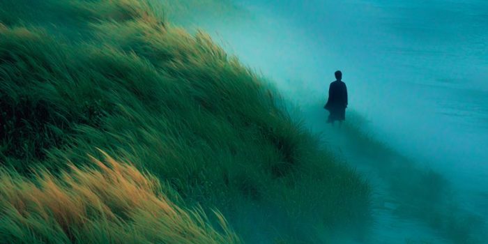 ChatGPT提示词_低饱和绿调的宁静景象，画面中出现一个小人物_chatgpt网页在线版缩略图