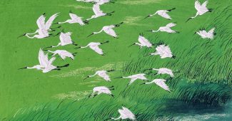 ChatGPT提示词_河边的绿草地上飞翔着一群白鸟_chatgpt5.0中文版缩略图