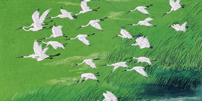 ChatGPT提示词_河边的绿草地上飞翔着一群白鸟_chatgpt5.0中文版缩略图