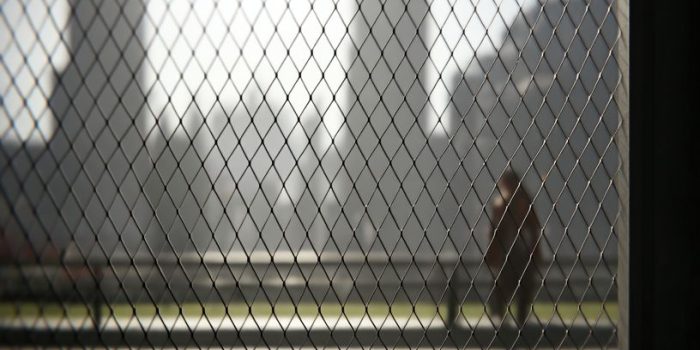 ChatGPT提示词_日本现代建筑屋顶的超现实照片_chatgpt会员版缩略图