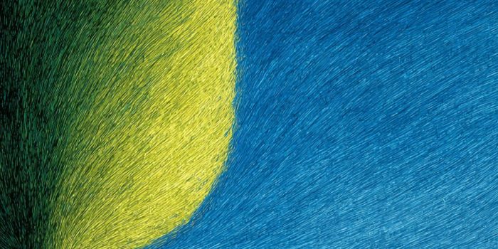 ChatGPT提示词_一棵树下有一个小男孩_chatgpt在线网页版官网缩略图