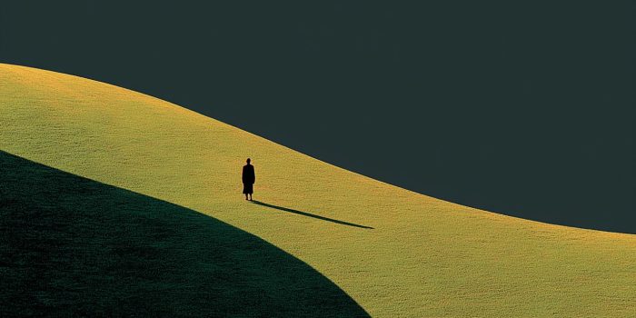 ChatGPT提示词_一幅极简风格的风景画，展现了草地上一个小人物和其长长的影子_chatgpt会员共享多少钱缩略图