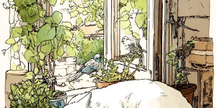 ChatGPT提示词_一只白猫蜷缩在窗台上，俯瞰着宁静的花园_chatgpt在线版网页缩略图