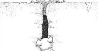 ChatGPT提示词_一幅简约风格的插图，墙上有一只可爱的小猫和一只笨拙的小狗_人工智能chatgpt5.0缩略图