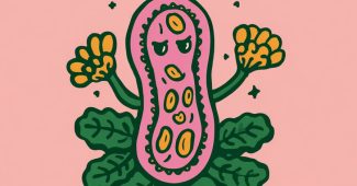 ChatGPT提示词_花生_chatgpt5.1版本更新缩略图