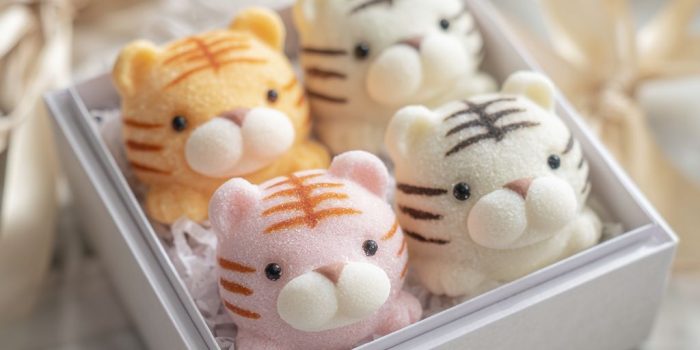 ChatGPT提示词_可爱的老虎米糕礼盒，外形像小老虎，精美包装，柔和的粉彩颜色，真实的摄影效果_chatgpt是哪个公司的缩略图