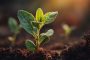 ChatGPT提示词_幼苗从土壤中发芽，象征着生命或商业的新开始_chatgpt中文网缩略图