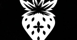 ChatGPT提示词_黑色背景上的白色草莓，带有黑色四星形种子_chatgpt在线网页使用缩略图