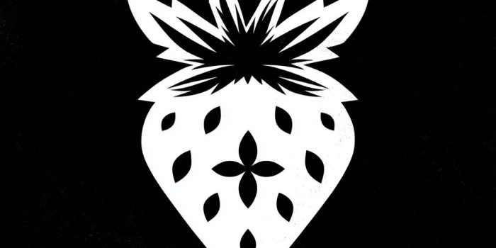 ChatGPT提示词_黑色背景上的白色草莓，带有黑色四星形种子_chatgpt在线网页使用缩略图