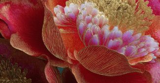 ChatGPT提示词_荔枝特写，展开的花瓣清晰，色彩绚丽，运用镀金技巧，渐变大片，扎染，充满活力的色彩，新莲细腻的工笔，体现中国风的插画，古韵与留白结合，体现丝绸的流动感_chatgpt在线网页聊天缩略图