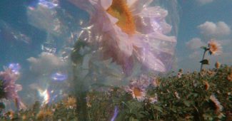 ChatGPT提示词_一朵透明塑料的向日葵在真实的向日葵田中_chatgpt4.0中文版缩略图