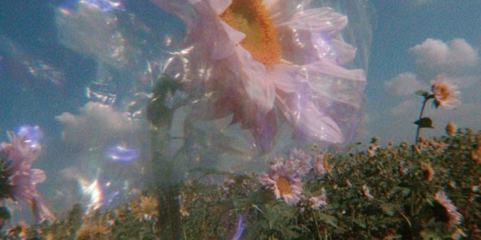 ChatGPT提示词_一朵透明塑料的向日葵在真实的向日葵田中_chatgpt4.0中文版缩略图