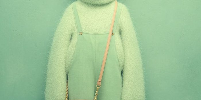 ChatGPT提示词_一个时尚女孩穿着清新的搭配，手拿粉色手袋和可爱的白色卷毛小狗站在前景_国内如何买gpt会员卡便宜缩略图