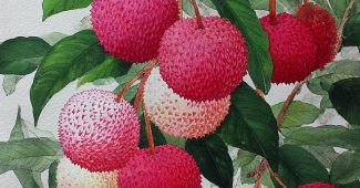 ChatGPT提示词_鲜艳的荔枝工笔画让人垂涎欲滴_chatgpt5.0最新消息缩略图