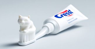 ChatGPT提示词_一管佳洁士牙膏挤出猫形白色牙膏_gpt会员多少一个月缩略图