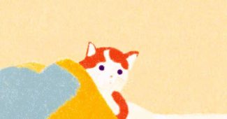 ChatGPT提示词_一只猫在毯子下_怎么获取chatgptplus缩略图