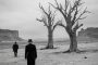 ChatGPT提示词_沙漠中两棵枯树和戴帽的老人在黑白摄影中的画面_chatgpt5.1 科研级缩略图