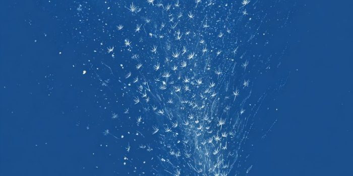 ChatGPT提示词_一只刺猬在草地上手持蒲公英朝蓝色夜空吹去_chatgpt中文版官网版缩略图