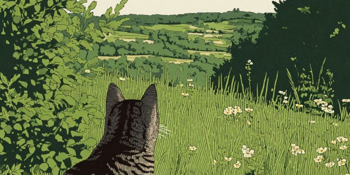 ChatGPT提示词_意大利乡村的虎斑猫在阳光洒落的绿田野和花朵间_chatgpt5.2版本多少钱缩略图