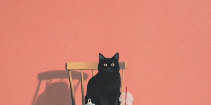 ChatGPT提示词_黑猫坐在椅子上喝珍珠奶茶_chatgpt会员缩略图