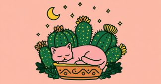 ChatGPT提示词_猫_chatgpt会员有什么用缩略图