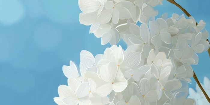 ChatGPT提示词_粉蓝背景上的白色绣球花_chatgpt在线版缩略图