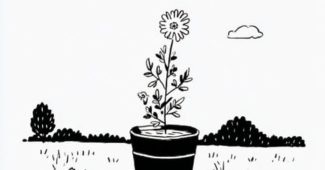 ChatGPT提示词_桶里的花_国内如何买gpt会员卡便宜一点缩略图