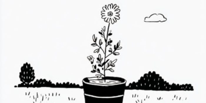 ChatGPT提示词_桶里的花_国内如何买gpt会员卡便宜一点缩略图