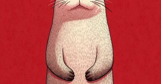 ChatGPT提示词_可爱的男性水獺采用简约风格，比例协调_国内如何开通gpt会员卡流程图缩略图