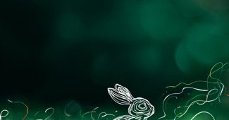 ChatGPT提示词_照片展示了一只小兔子在户外草坪上奔跑_chatgpt会员多少钱一次缩略图