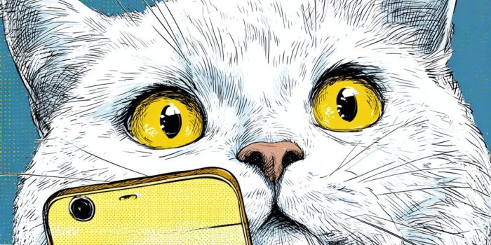 ChatGPT提示词_一只白猫用爪子握着手机向观众展示_chatgpt在线网页版中文版缩略图