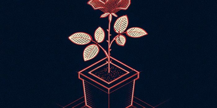 ChatGPT提示词_一个玫瑰花盆的简约矢量图标_chatgpt官网在线网页版缩略图