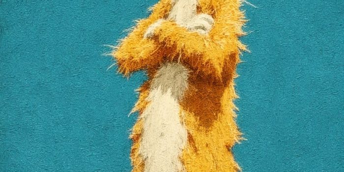 ChatGPT提示词_一只穿太阳镜的姜猫直立而立_chatgptplus缩略图