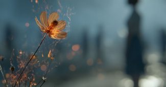 AI提示词_前景有轻微燃烧的花朵，背景模糊的人物_gpt会员有什么用缩略图